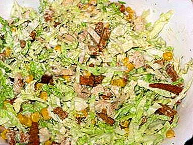 Akeh gagasan nourishing, sedhep lan gampang salad saka Peking Gobis karo Ham