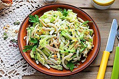 Macem-macem salad sing gampang lan sehat karo kubis cumi lan Cina