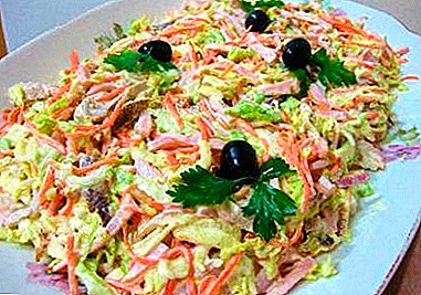 ជម្រើសជាច្រើនដែលឆ្ងាញ់សម្រាប់ salad "Anastasia" ជាមួយស្ពចិន