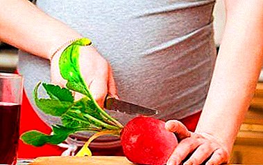 Is dit moontlik om radyse tydens swangerskap te eet? Voordeel en skade, kontraindikasies en heerlike resep