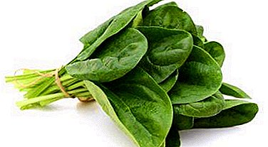 Posible ba nga mokaon sa spinach sa panahon sa pagmabdos? Kaayohan, kontra-dangan ug mga resipe