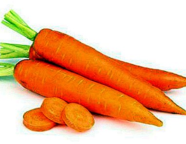 Apa bisa ngasilake wortel sadurunge mangsa? Apa varieties sow lan carane nindakake prosedur?
