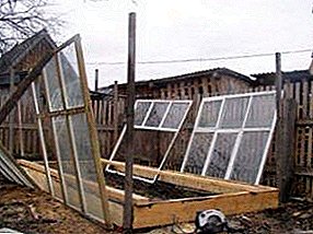 Сигурна рамка за стаклена градина го направи тоа сами од достапните материјали: ефтин, но квалитетен