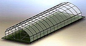Kasaligan ug praktikal nga tunnel-type nga greenhouse: kung unsaon paghimo gamit ang imong kaugalingon nga mga kamot sa mga plano sa tanaman nga ginganlan