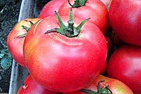 Trovu por ĝardenistoj - la Japana Rozo-tomato: la priskribo de grado kaj ecoj de kultivado