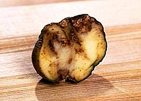 Колку се важни фунгицидите за компири?
