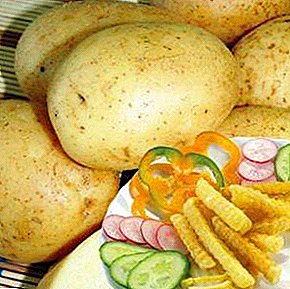 Нағыз әсемдік Lasock картопы: әртүрлілік сипаттамасы, сипаттамасы, фото