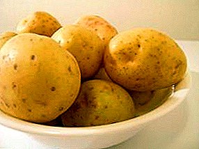 Моллидің неміс картоптары - керемет дәм және жоғары шығындар