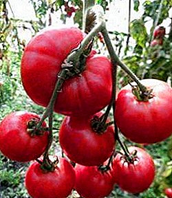 'N nuwigheid wat aandag verdien, is die Raspberry Rhapsody Tomato: verskeidenheid beskrywing