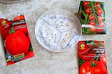 D'Nuancen vu Säck Tomaten an de Waasserstoffperoxid ze bremsen, ier se gepflanzt ginn. Séiens Tipps
