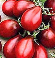 Priskribo de avantaĝoj kaj malavantaĝoj, ĉiuj karakterizaĵoj de la vario de tomata Nigra Piro