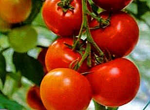 Paglalarawan at katangian ng popular na frost-resistant ultra-early variety ng tomato "Sanka"