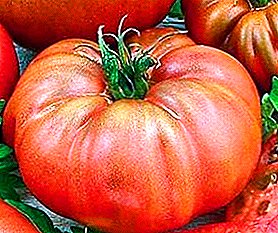 Faamatalaga o le Tomatoes varieties "Bison": eseesega i ituaiga o uliuli, samasama, moli ma le uliuli