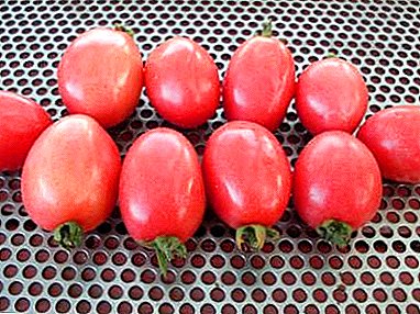 Nkọwa nke mkpụrụ akwụkwọ tomato na-eto eto na-atọ ụtọ na - "Pink Cream" na foto nke tomato