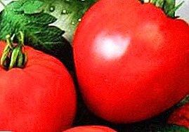 Originalni i visokorodni paradajz "Tsar Kolok" - opis sorte, fotografija