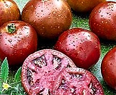 Orisirisi Sugar Irun Akọkọ - Awọn tomati pẹlu Awọn Irun Dudu