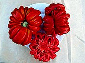 Originalni paradajz "Lorraine beauty": opis sorte, fotografija