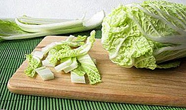 Naglalaman ng pagluluto Beijing repolyo: kung paano i-cut ng maayos para sa salad at iba pang mga pinggan?