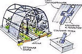 Mga butang sa paghimo sa greenhouse gikan sa polycarbonate pagbuhat-kini-imong kaugalingon: paghimo og drawing, mga panig-ingnan sa litrato