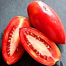 Nodweddion trin, disgrifio, defnyddio mathau tomato "Icicle red"
