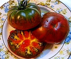 Lloj i shkëlqyeshëm i tryezës së domates, me një ngjyrosje të pazakontë - domate "Cigane"