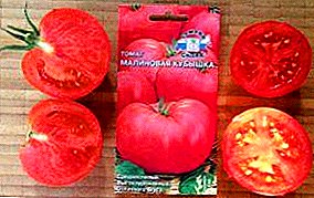 Совршено прилагоден за оранжерии, оранжерии и отворен терен, разновиден домат "Малина": опис и слика