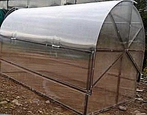 Greenhouses "Novator" - koj cov kws pab tswv yim ntawm lawv lub caij ntuj sov