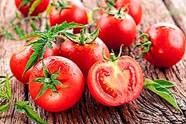 Poukisa se bon chwa ki enpòtan ak ki tomat yo pi bon plante yo nan lòd yo ka resevwa yon rekòt abondan nan tomat bon gou?