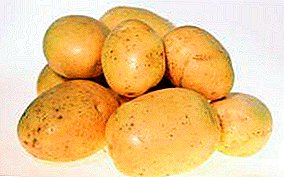 A hadiah saka Jerman - "Krona" kentang: karakteristik macem-macem lan tips migunani