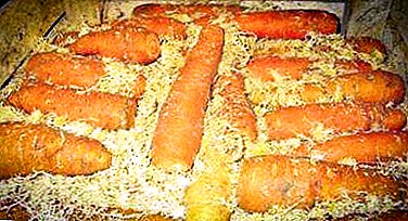 শস্যাগার মধ্যে carrots সংরক্ষণ কিভাবে বিস্তারিত নির্দেশাবলী: কৌশল এবং পেশাদার বনাম