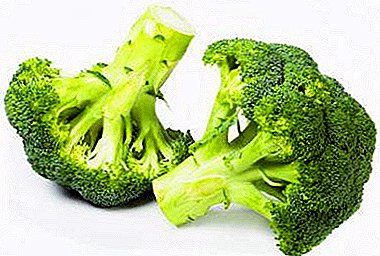 Airíonna úsáideacha broccoli agus contraindications a úsáid