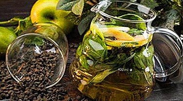 Эстрагон менен Пайдалуу чай - саламаттык сактоо проблемаларын чечүү чай