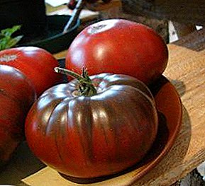 Tomato rayado "Akvomelono": priskribo, karakterizaĵo de unika vario kaj foto