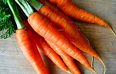 Os beneficios e os danos das zanahorias. ¿É posible comer un vexetal cru e como aplicalo correctamente?