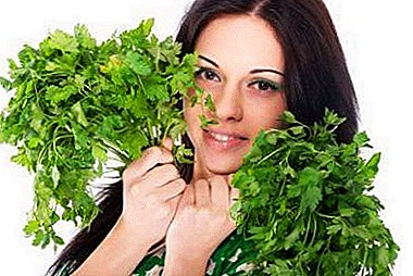 Ji ber çavên li derdora çavan û qezenckirina parsleyê. Masksên folk folke û compresses