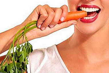 Os beneficios de comer zanahorias e contraindicacións. Como comer un vexetal e en que cantidades?