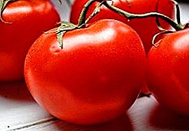 Tomaten fir richteg Gourmeten - Tomatenvielfalt "Strawberry Dessert": déi komplettsten Beschreiwung vun der Art