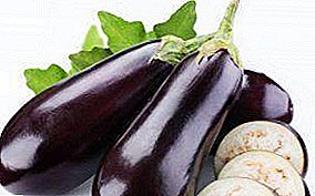 សេចក្ដីណែនាំជំហានដោយជំហានអំពីរបៀបដាំដុះ eggplants នៅក្នុងអ៊ូរ៉ាតបានដែរឬទេ? តើអ្វីទៅថ្នាក់ដើម្បីជ្រើសនៅពេលដែលដើម្បីសាបព្រួសនិង replant នៅក្នុងផ្ទះកញ្ចក់, គន្លឹះថែទាំ
