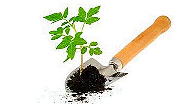 ટમેટાં વાવેતર માટે યોગ્ય જમીન. વનસ્પતિ પ્રેમ - ખાટી અથવા આલ્કલાઇન કયા પ્રકારની જમીન કરે છે? શું માટીને તમારી જાતે બનાવી શકાય?