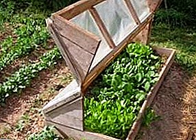 Алтернативии бузург ба гармхонаҳои арзишманд: mini-greenhouse