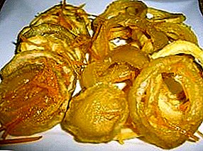 Ang yano nga mga resipe gipauga nga courgettes alang sa tingtugnaw sa Korean gamit ang oven ug electric driers
