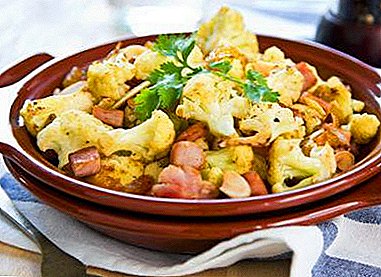 A resep basajan pikeun casseroles kembang engkol jeung tipena béda daging dina oven - kumaha masak jeung ngahias?