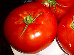 Ang tomato ng Kumir ay sinuri ng lahat: paglalarawan ng grado at mga lihim ng paglilinang ng mga kamatis