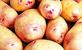 Ang nagkalainlaing patatas nga "Limonka": paghulagway sa matang, mga litrato, mga kinaiyahan