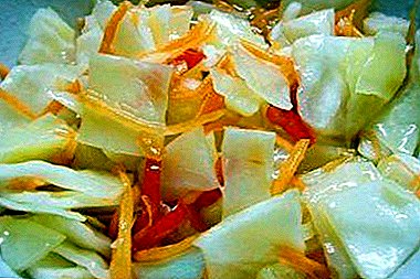 Resep-resep kubis klasik lan cepet ing marinade panas. Carane milih jinis sayuran lan pickle?