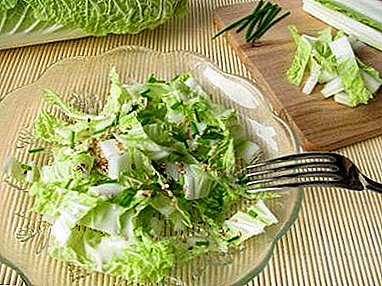 Receitas de ensaladas de verduras con repolo chinés e as súas fotos