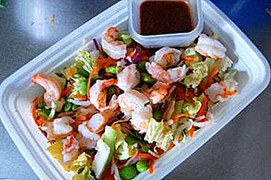Resep goreng salad sareng kadaharan laut katut kol Cina, ti mana sémah anjeun bakal gélo!