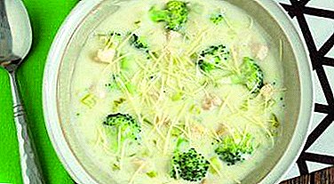 Mga resipe alang sa broccoli ug cauliflower nga sabaw. Unsa ang mga benepisyo ug kadaot sa pinggan?