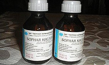 ဝက်ခြံပေါ်မှာ boric acid ကိုအသုံးပြုခြင်းများအတွက်အကြံပြုချက်များ