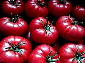 Panyimpenan anu aya dina ranjang anjeun - tomat "Bamas awak": pedaran macem, poto